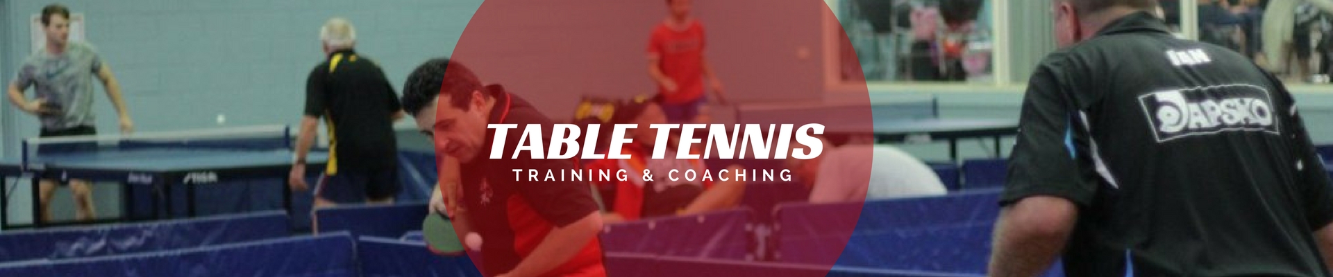 table tennis training and coaching